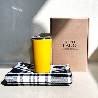 ��Ʈ�� ���� �װ� ��� + ���Ͻ� �Һ��� ��Ʈ