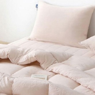 ��ƺ� �÷� ��.���� �����̺Ҽ�Ʈ �ø��� 