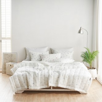 �ö���� ����� �þĿ �����̺� �� ��������+�е�+����Ŀ�� �̱�/�� 2���� ����ħ����������