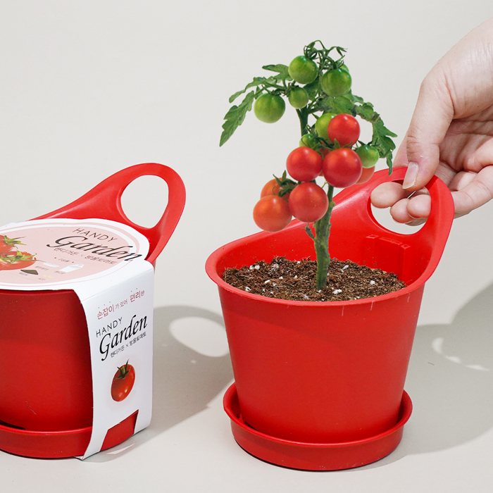 �ڵ𰡵�-����丶�� (�μ� ��ǰ) 