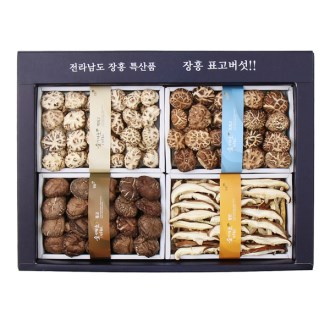 ���� ǥ������ ��ȭ�� ȥ��Ư�� 2ȣ