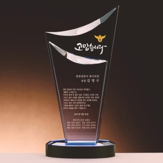 ũ����Ż ���� SAM24P041