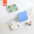 ���ƽ� ����Ʈ ü���� ü�߰� 28cm